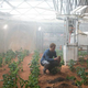 The Martian